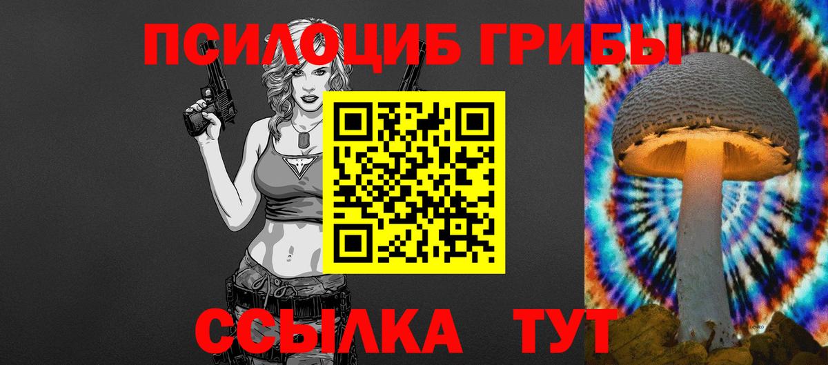Галлюциногенные грибы Psilocybine cubensis  Вход с VPN  Псков 