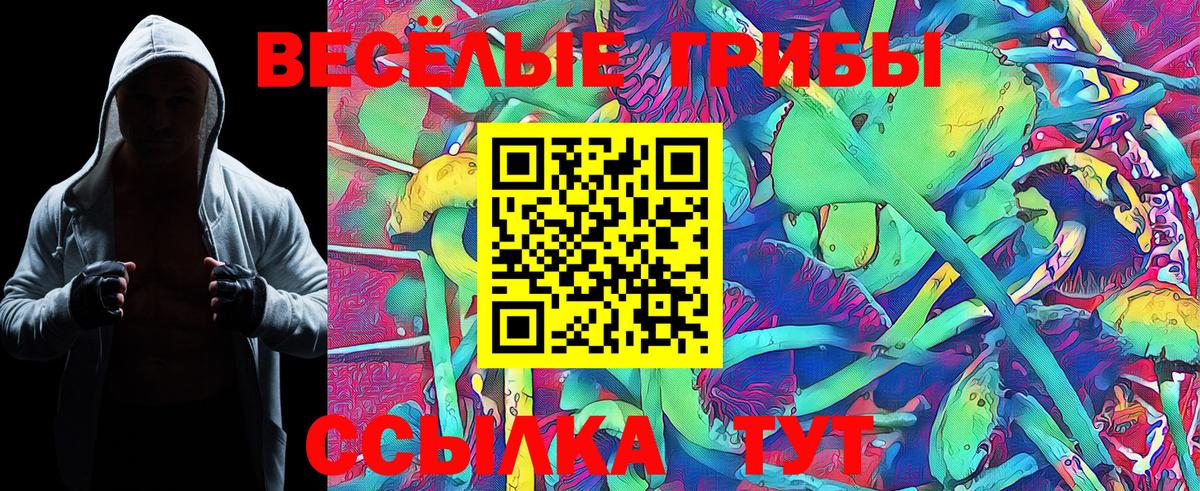 Галлюциногенные грибы Cubensis Псков